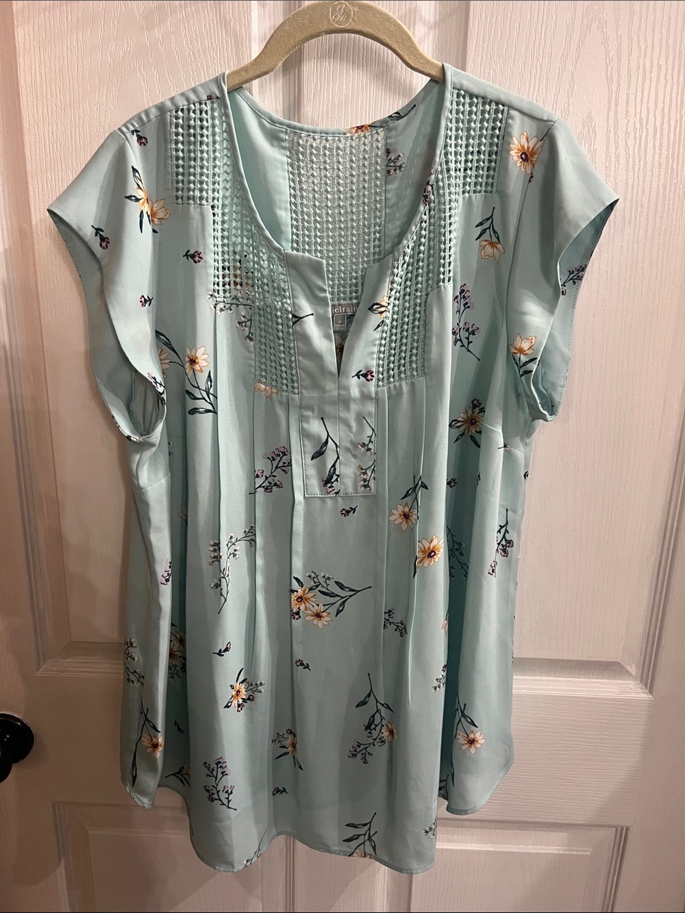 Daniel Rainn Mint Floral Pintuck Cap-Sleeve Tunic